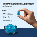 Creatine Gummies - Blueberry Burst